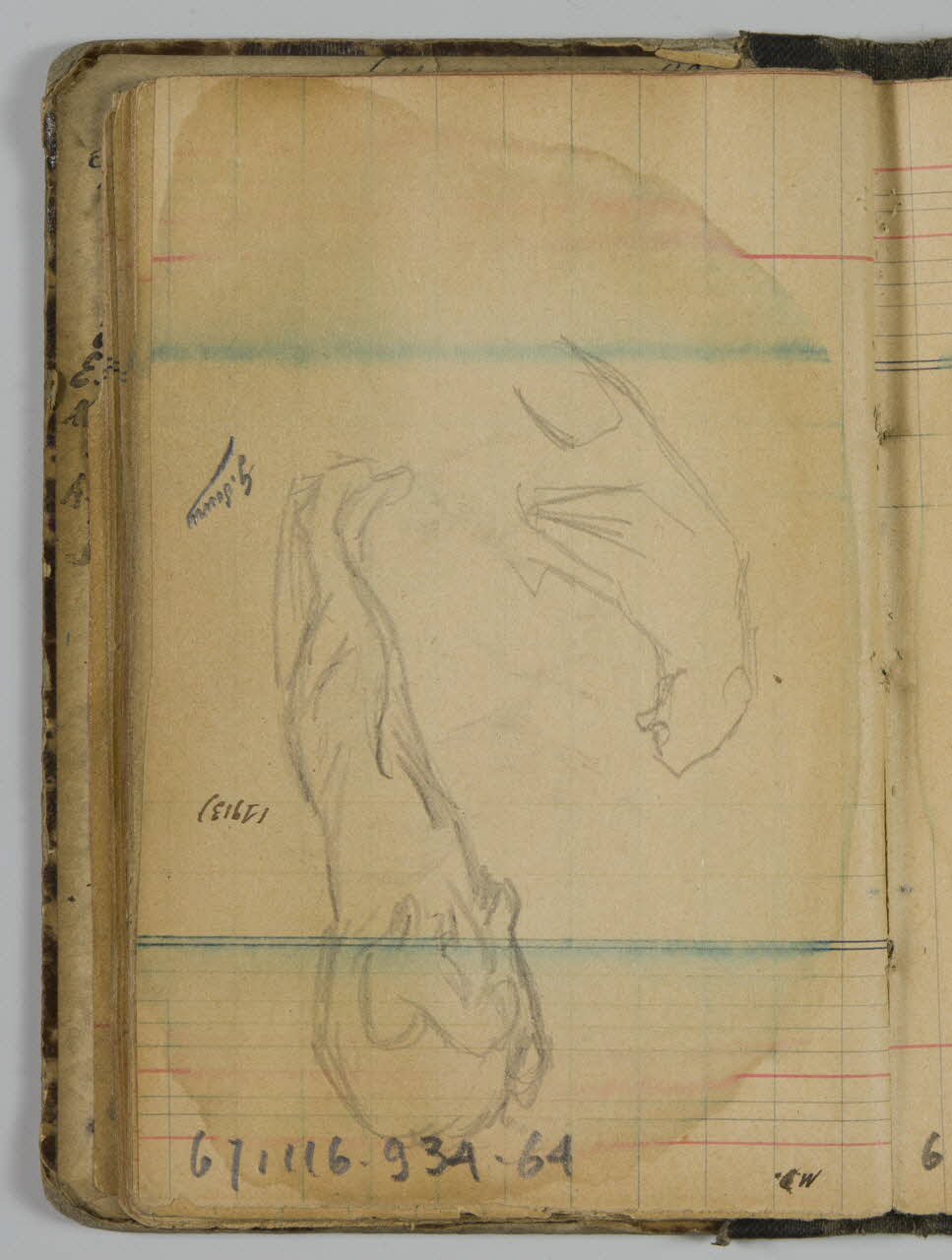 carnet de dessins Lion et félin 1967.116.934.64 Photo