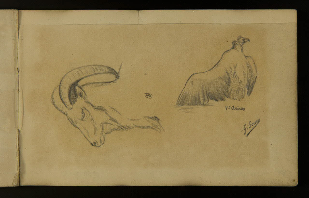 carnet de dessins Etude de vautour et de bouquetin 1967.116.937.1 Photo