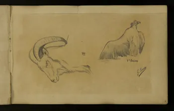 carnet de dessins Etude de vautour et de bouquetin 1967.116.937.1  Photo