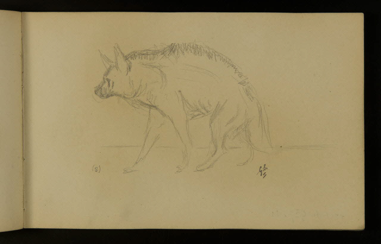 carnet de dessins Hyène de profil 1967.116.937.11 Photo