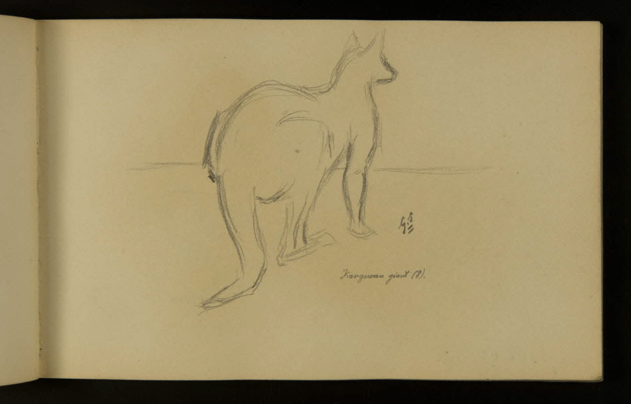 carnet de dessins Kangourou géant 1967.116.937.13 Photo
