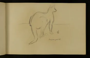 carnet de dessins Kangourou géant 1967.116.937.13  Photo