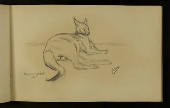 carnet de dessins Kangourou géant couché 1967.116.937.14  Photo