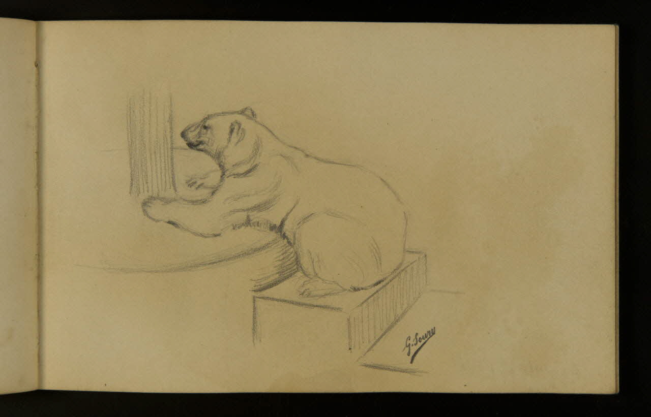 carnet de dessins Ours blanc sur une marche 1967.116.937.22 Photo