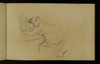 carnet de dessins Ours blanc sur une marche 1967.116.937.22 Photo