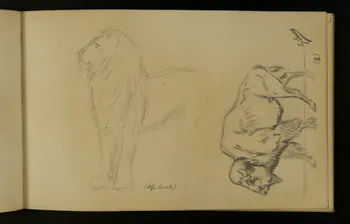 carnet de dessins Lion et bison 1967.116.937.34 Photo