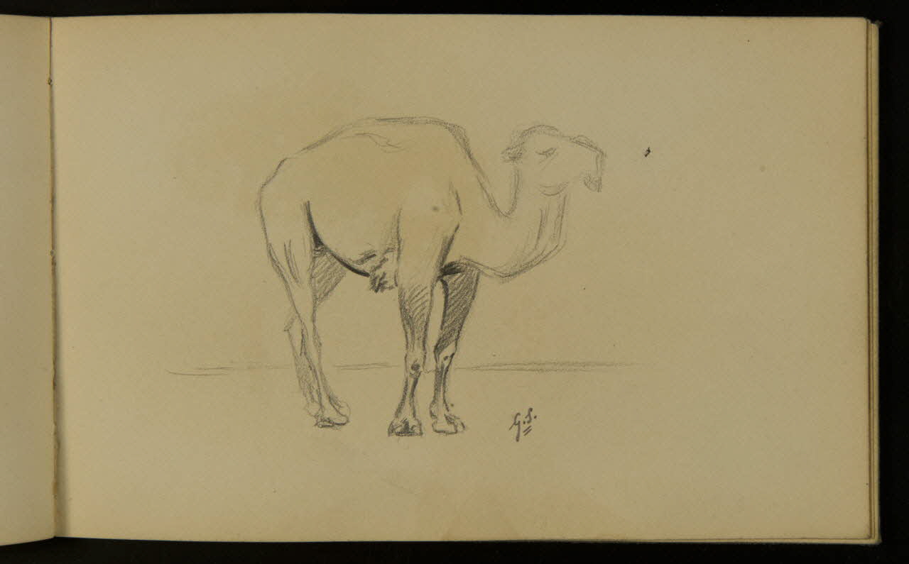 carnet de dessins Camélidé 1967.116.937.39 Photo
