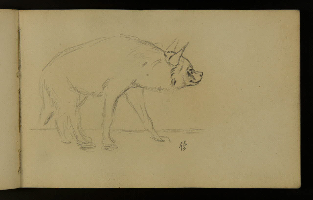 carnet de dessins Hyène 1967.116.937.4 Photo