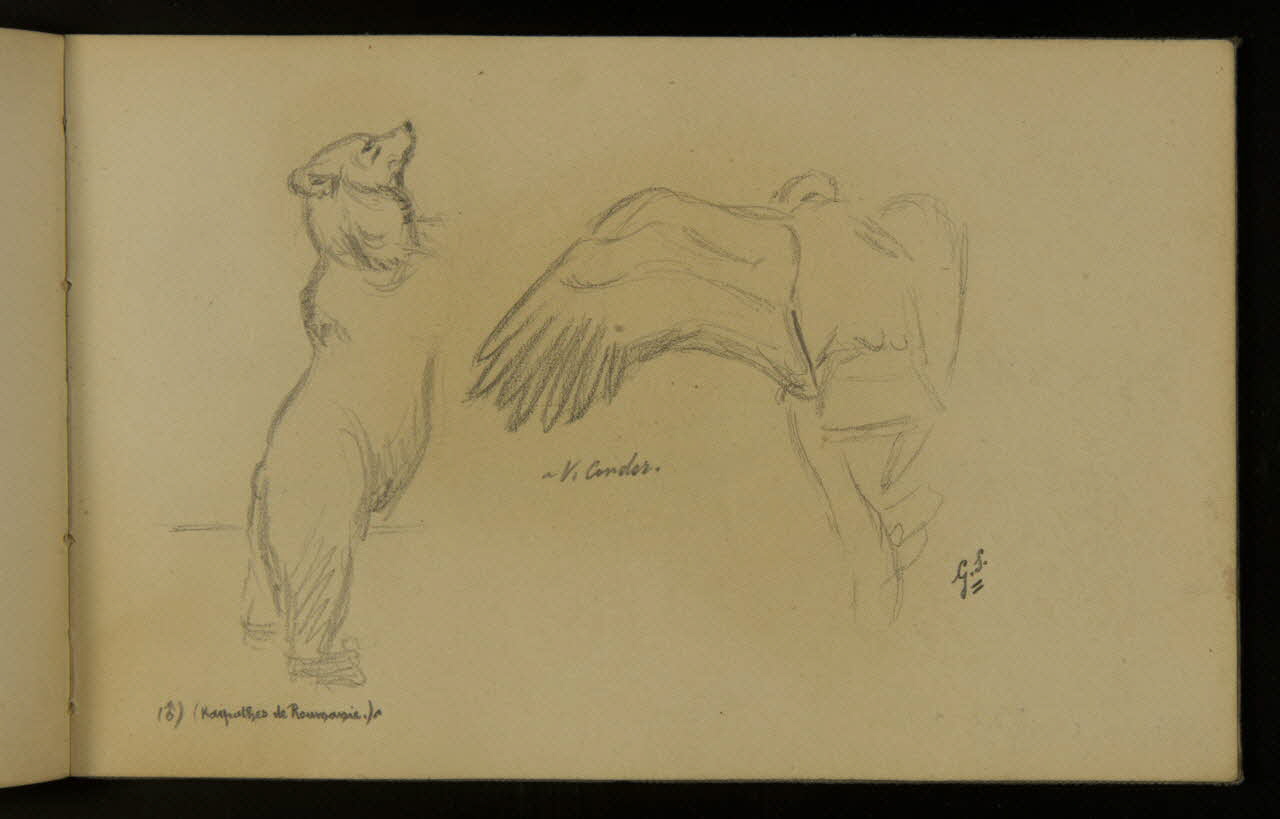 carnet de dessins Ours et condor 1967.116.937.45 Photo