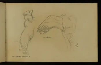 carnet de dessins Ours et condor 1967.116.937.45 Photo
