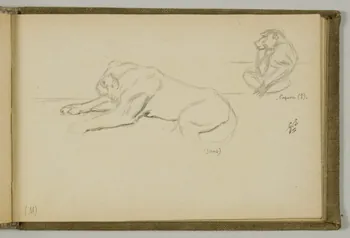 Gustave Soury carnet de dessins Etudes d'un lion et d'un papion Paris 1919 1967.116.938.28 Photo