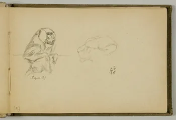 Gustave Soury carnet de dessins Etudes d'un papion et d'un lion Paris 1919 1967.116.938.3 Photo