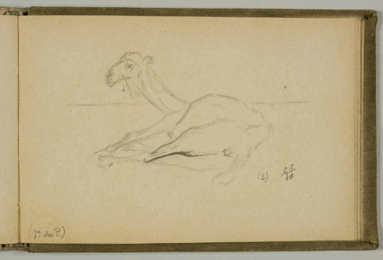 Gustave Soury carnet de dessins Etude de camélidé couché Paris 1919 1967.116.938.40 Photo
