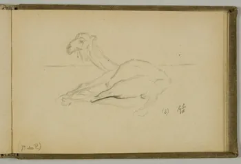 Gustave Soury carnet de dessins Etude de camélidé couché Paris 1919 1967.116.938.40  Photo