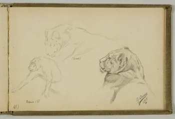 Gustave Soury carnet de dessins Etudes de papion et de lion Paris 1919 1967.116.938.42 Photo