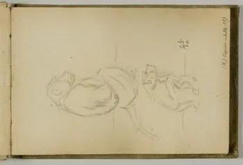 carnet de dessins Etude de papion adulte 1967.116.939.1.1 Photo