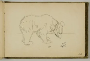 carnet de dessins Etude d'oursons 1967.116.939.1.2 Photo