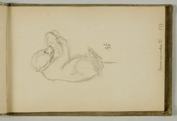 carnet de dessins Etude d'ourson 1967.116.939.11 Photo