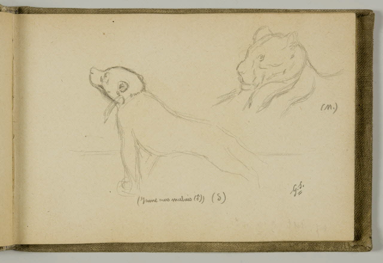 carnet de dessins Etude d'ourson 1967.116.939.14 Photo