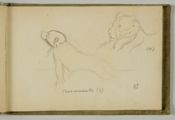 carnet de dessins Etude d'ourson 1967.116.939.14 Photo