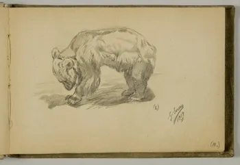 carnet de dessins Etude d'oursons 1967.116.939.2 Photo