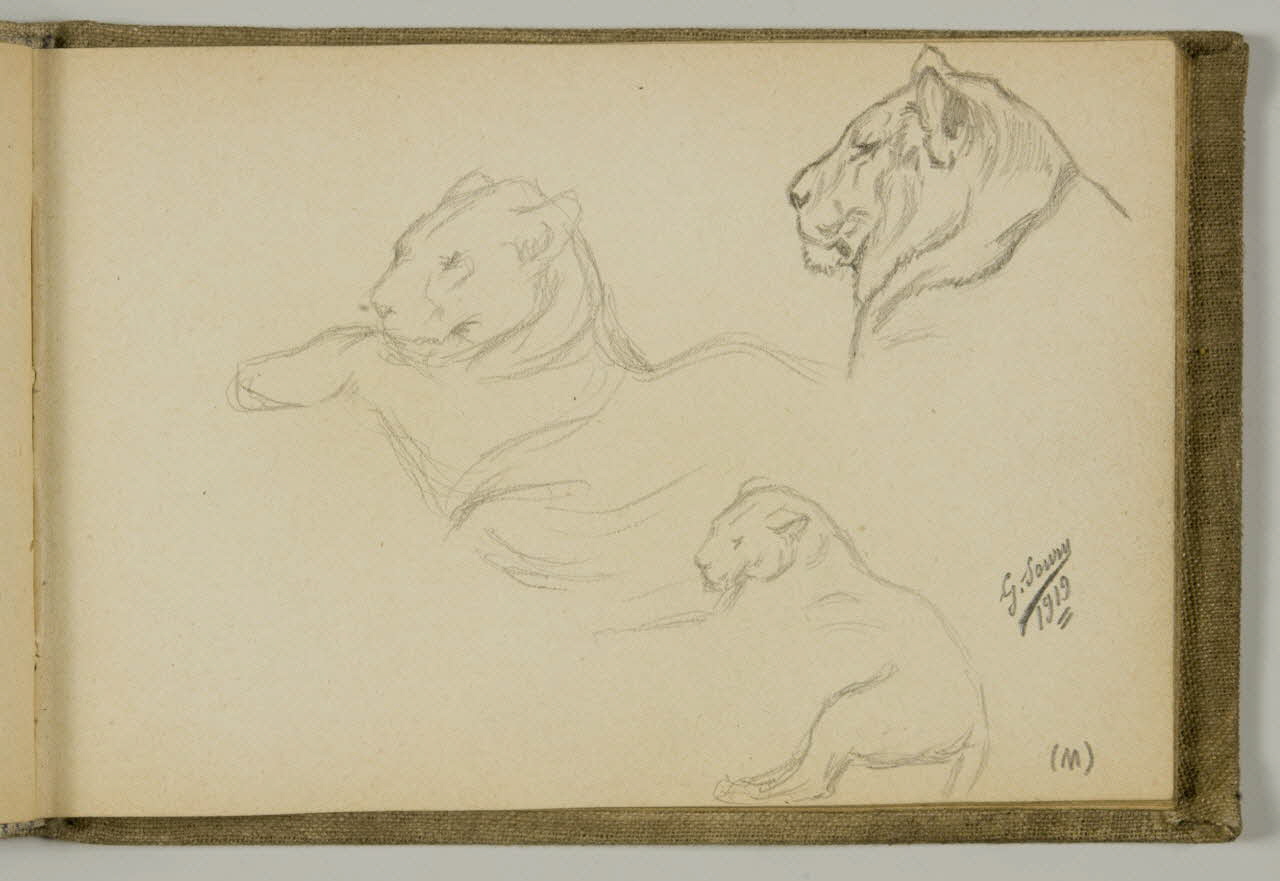 carnet de dessins Etude de lionnes 1967.116.939.21 Photo