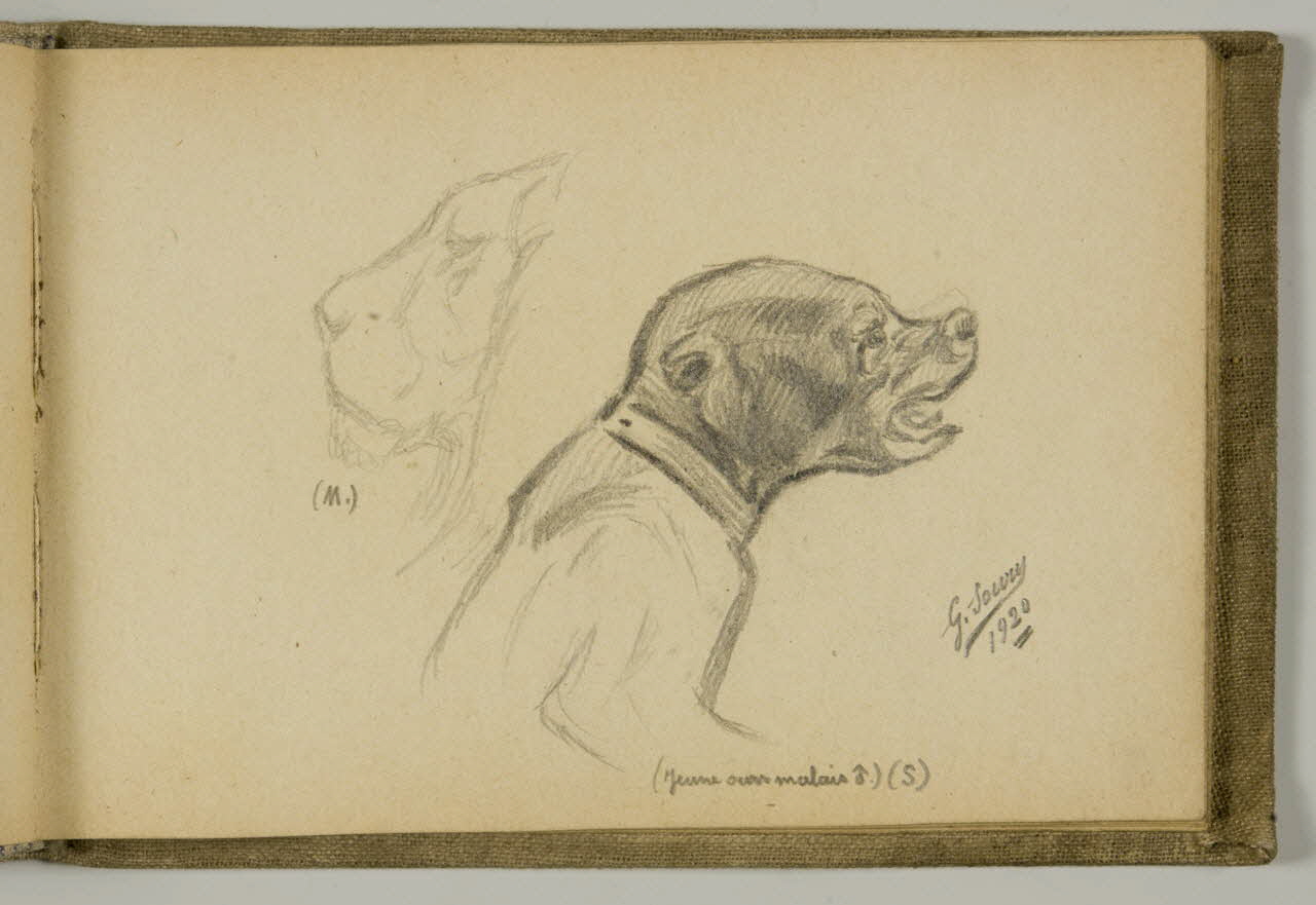 carnet de dessins Etude d'ourson et de lion 1967.116.939.23 Photo