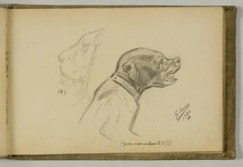 carnet de dessins Etude d'ourson et de lion 1967.116.939.23 Photo
