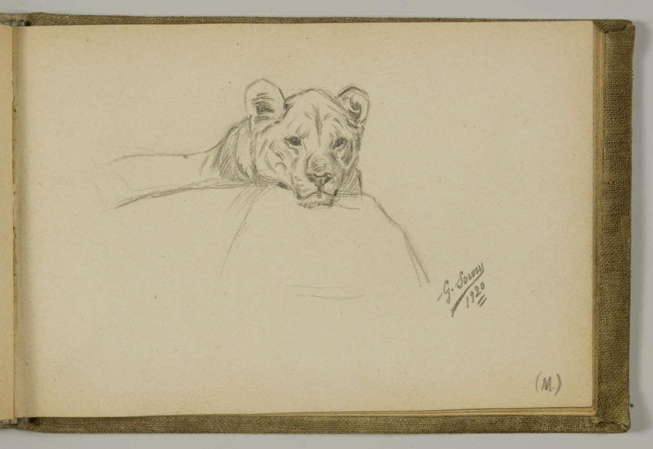 carnet de dessins Etude de lionne 1967.116.939.29 Photo