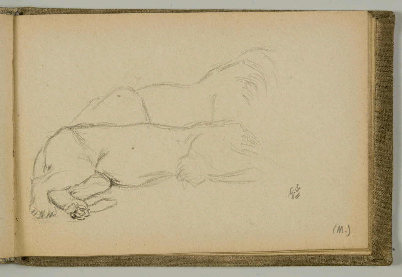carnet de dessins Etude de lion couché 1967.116.939.32 Photo