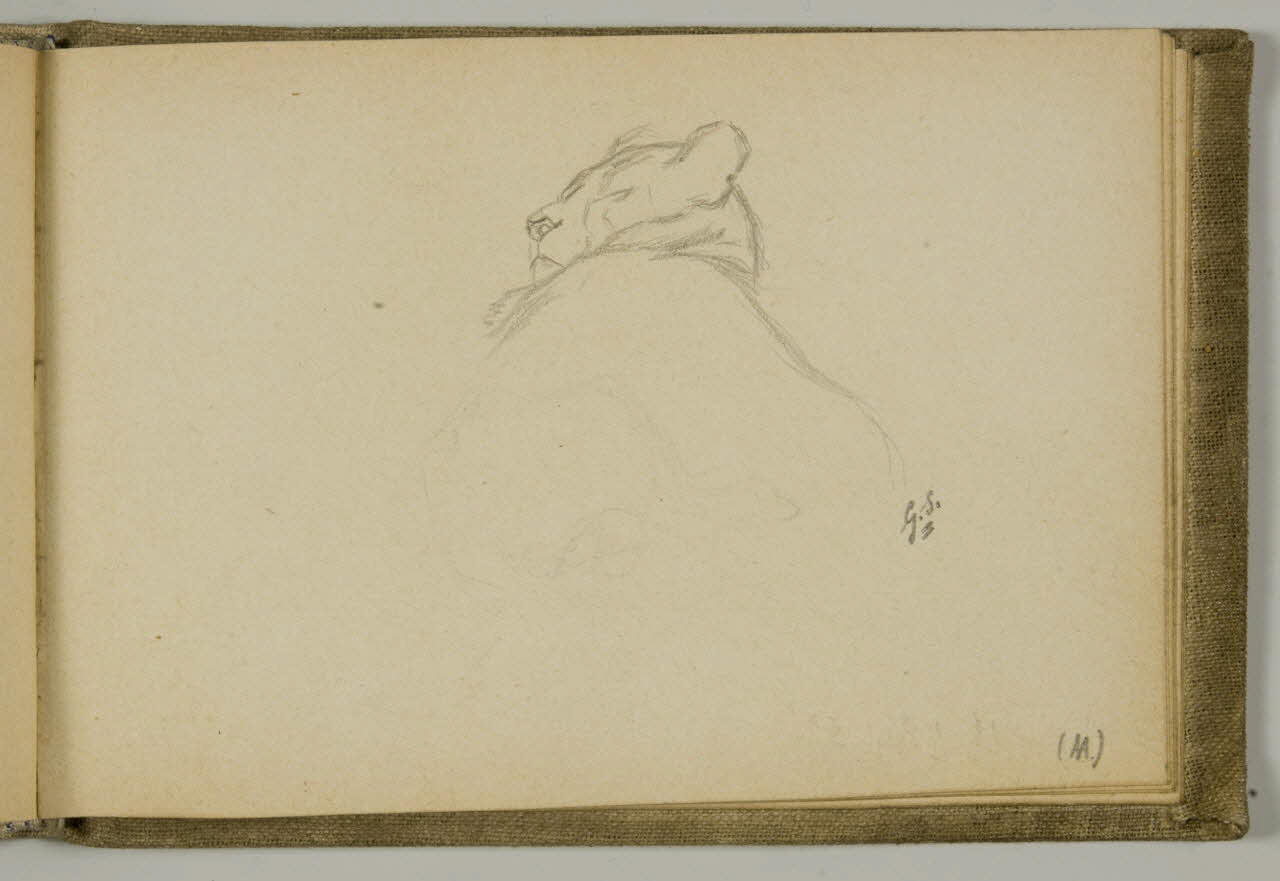 carnet de dessins Etude de tête de lionne 1967.116.939.36 Photo