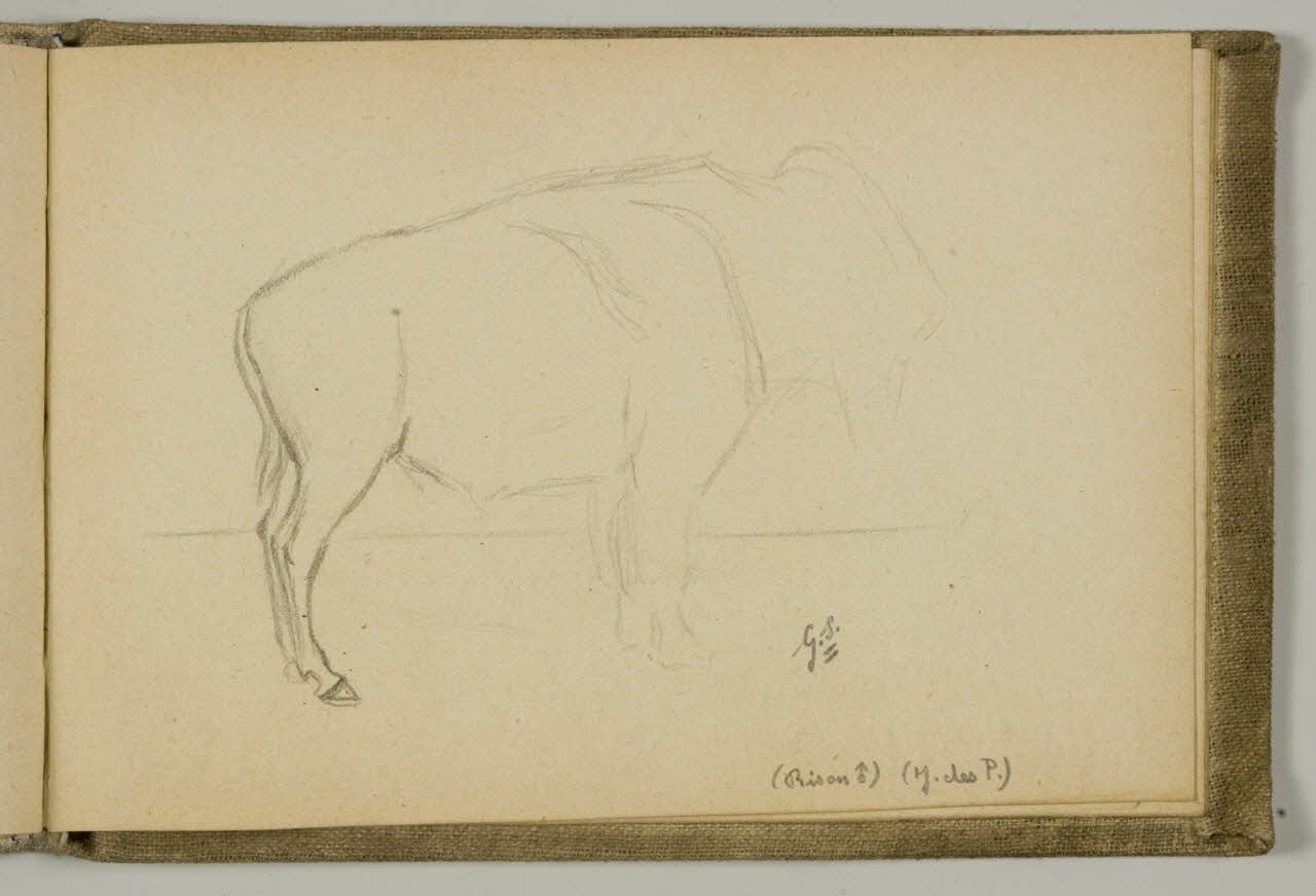 carnet de dessins Etude de bison 1967.116.939.40 Photo