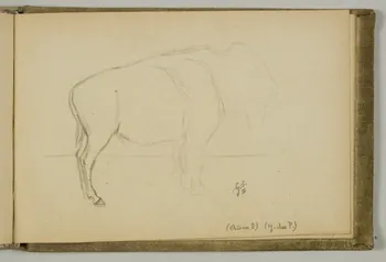 carnet de dessins Etude de bison 1967.116.939.40  Photo
