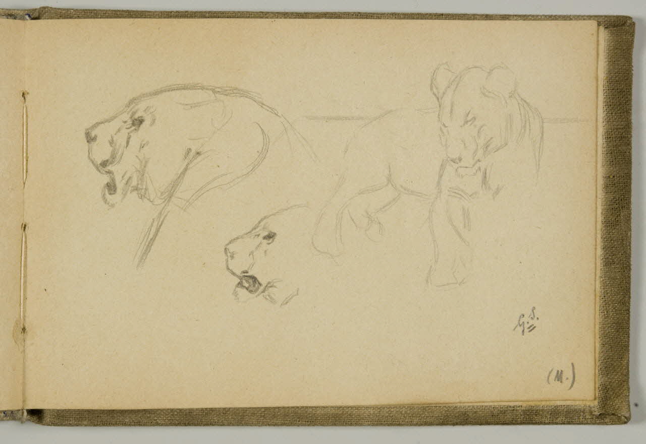 carnet de dessins Etude de lionne 1967.116.939.44 Photo