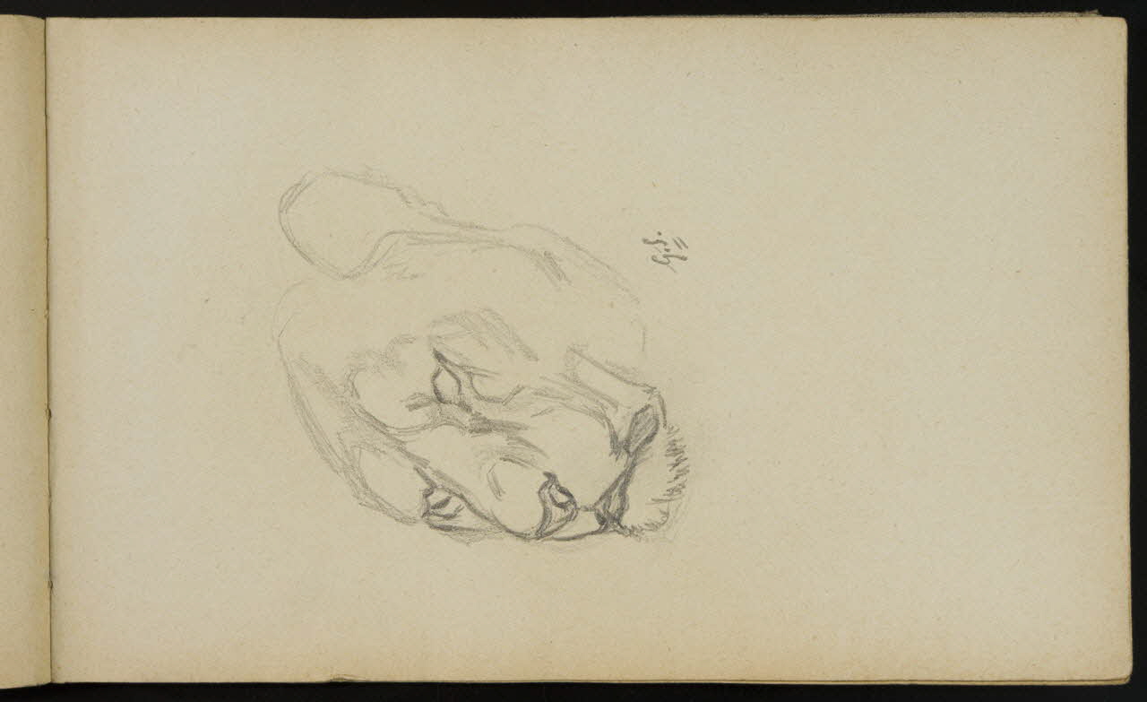 carnet de dessins Esquisse de tête de lionne 1967.116.940.2 Photo