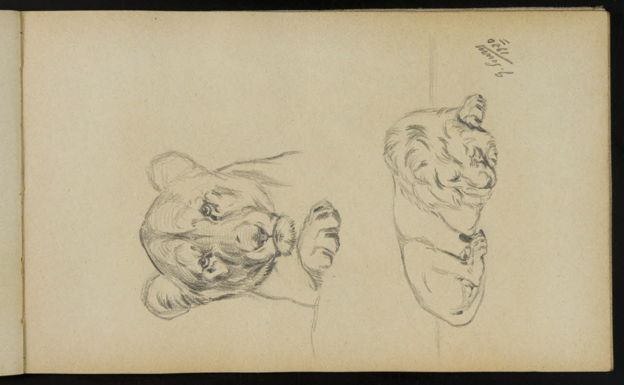 carnet de dessins Esquisses de lion et de lionne 1967.116.940.26 Photo
