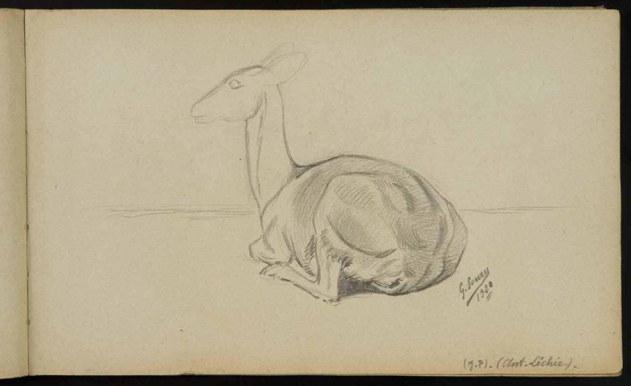carnet de dessins Esquisse d'antilope couchée 1967.116.940.3 Photo