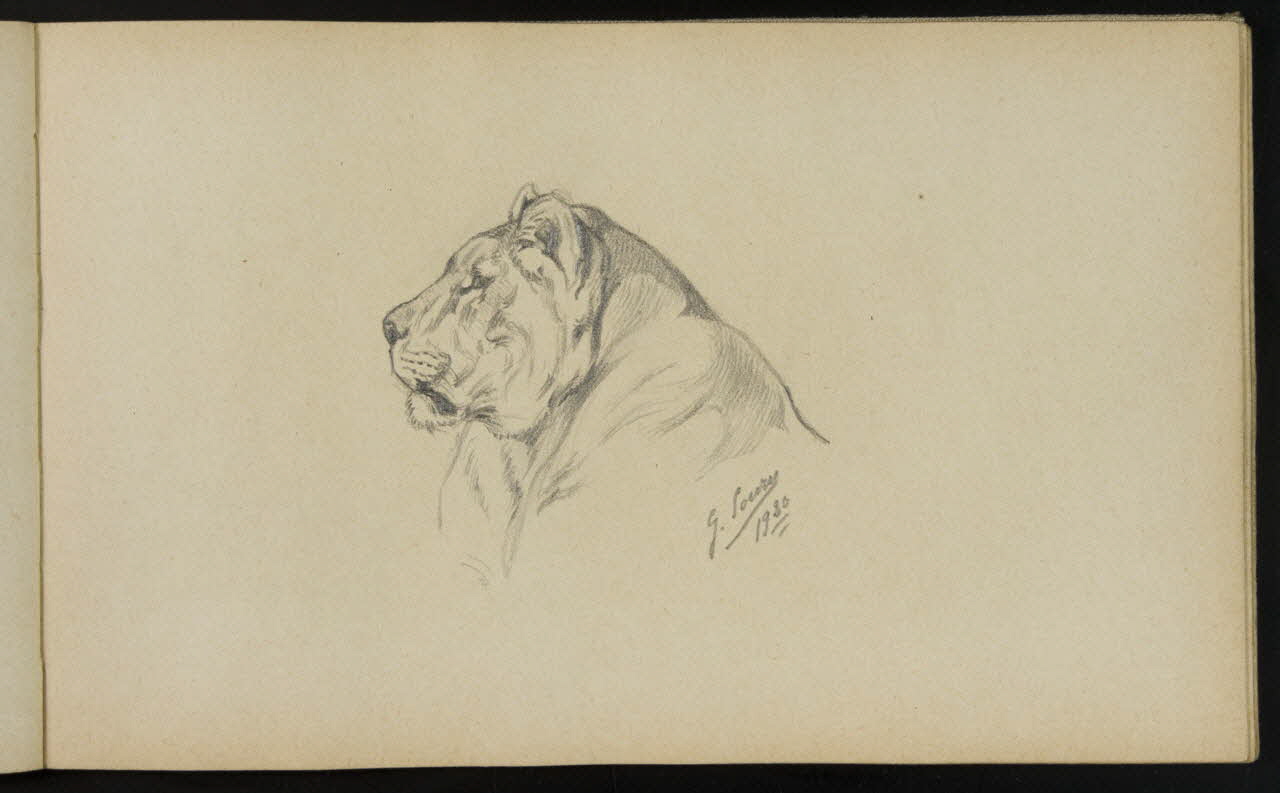 carnet de dessins Esquisse de lionne 1967.116.940.34 Photo