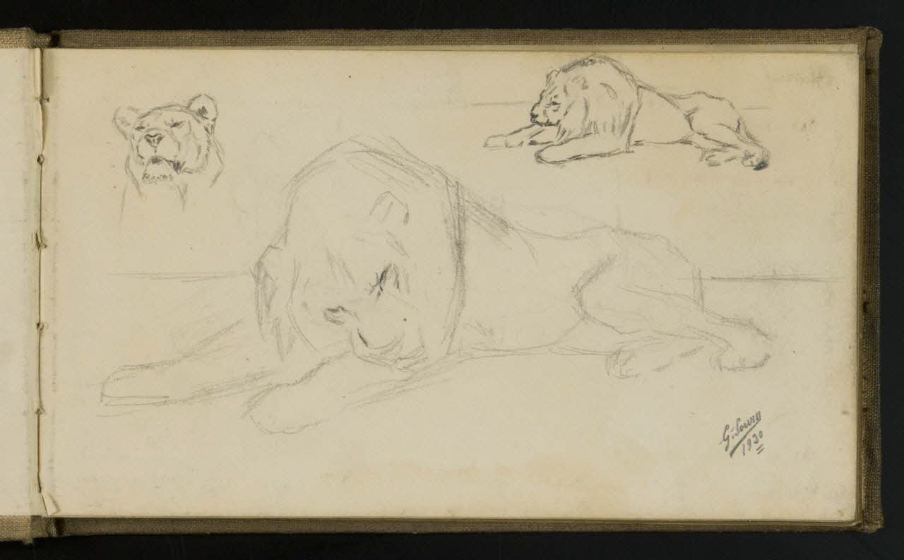 carnet de dessins Esquisse de lion allongé 1967.116.941.1 Photo