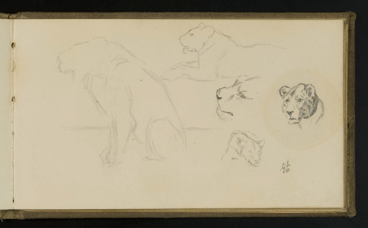 carnet de dessins Esquisse de lionne et félin 1967.116.941.23 Photo