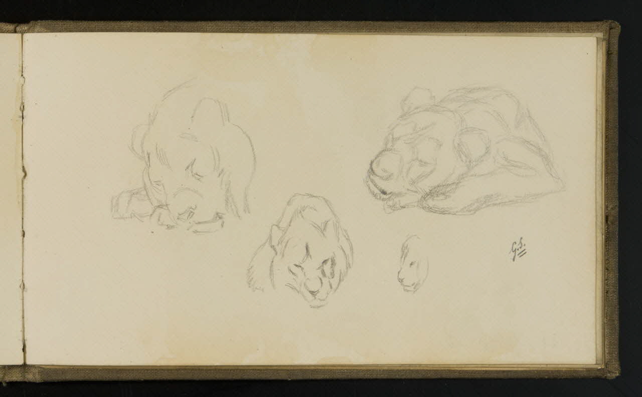 carnet de dessins Esquisse de lionne allongée 1967.116.941.27 Photo