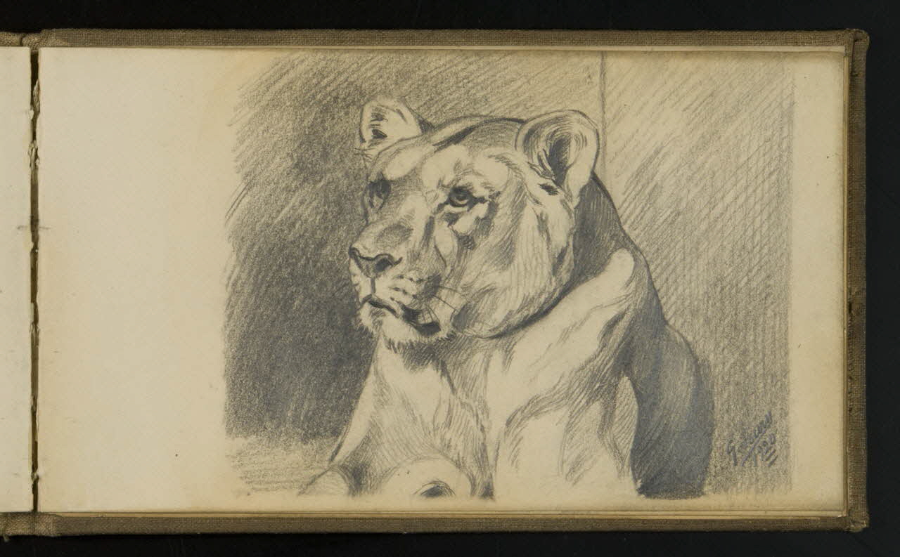 carnet de dessins Esquisse de lionne 1967.116.941.28 Photo