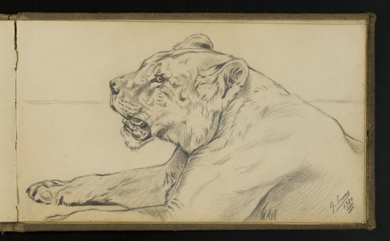 carnet de dessins Esquisse de lionne 1967.116.941.29 Photo