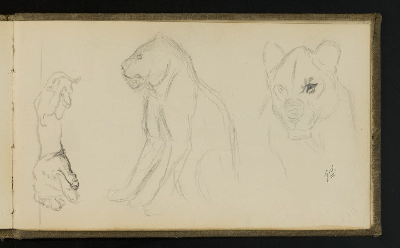 carnet de dessins Esquisse de lionne 1967.116.941.33 Photo