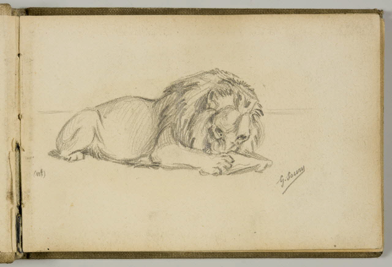 carnet de dessins Etude de lion 1967.116.943.1.1 Photo