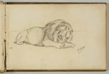 carnet de dessins Etude de lion 1967.116.943.1.1 Photo
