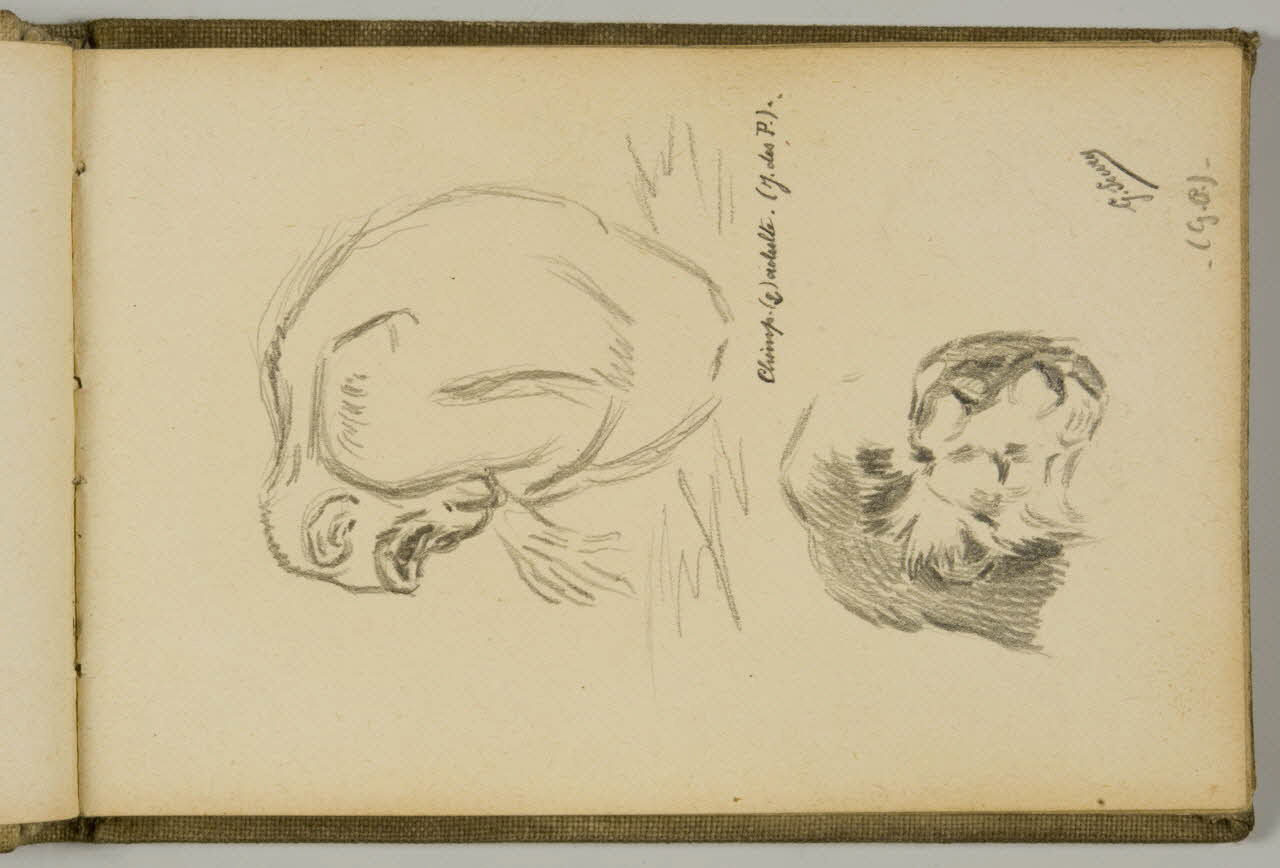 Gustave Soury carnet de dessins Etude de chimpanzé assis et de tête de lion Paris 1923 1967.116.943.16 Photo
