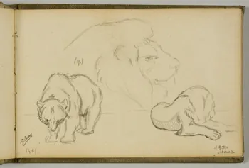 Gustave Soury carnet de dessins Etudes de tête de lion, de lion couché et d'ours Paris 1923 1967.116.943.17  Photo