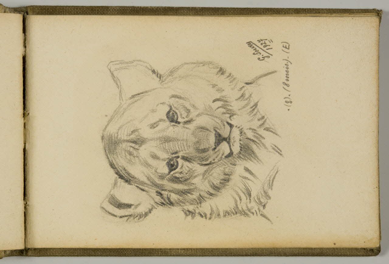 Gustave Soury carnet de dessins Etude de tête de jeune lion Paris 1927 1967.116.943.23 Photo