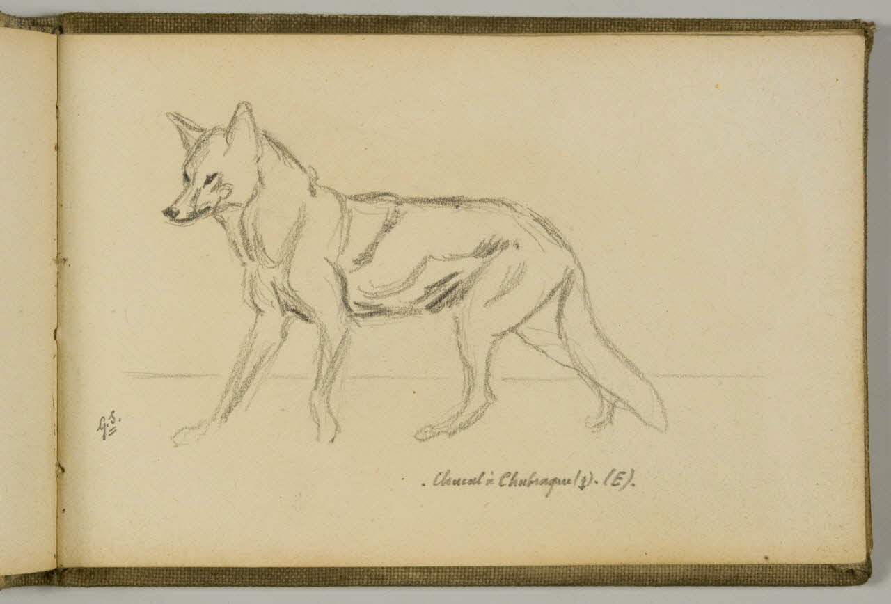 Gustave Soury carnet de dessins Etude de chacal à chabraque Paris 1923 1967.116.943.25 Photo